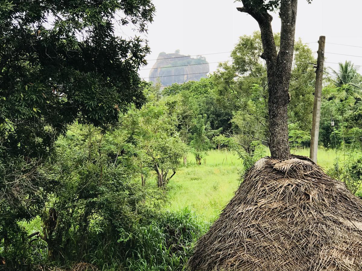Sigiriya Rock Hide Hotel ภายนอก รูปภาพ