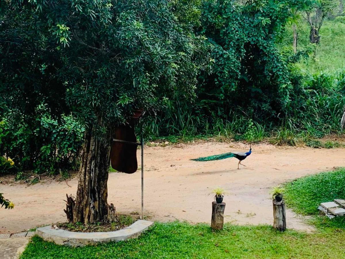 Sigiriya Rock Hide Hotel ภายนอก รูปภาพ