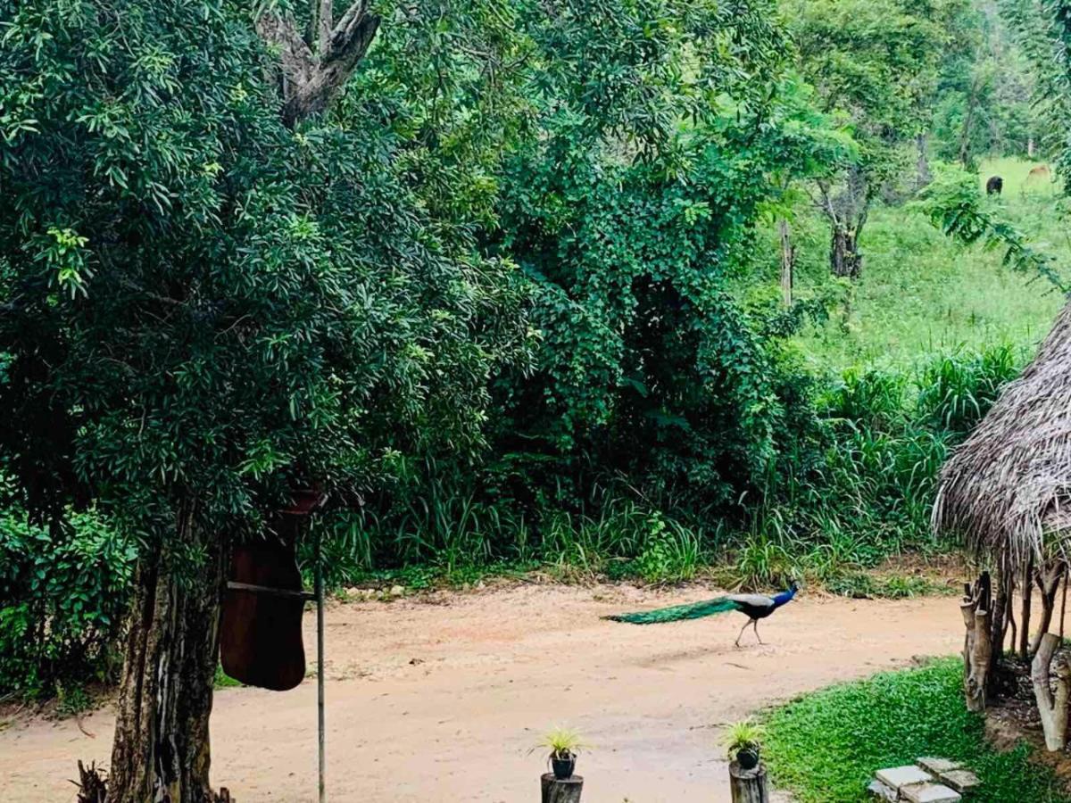 Sigiriya Rock Hide Hotel ภายนอก รูปภาพ